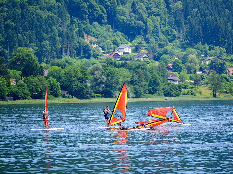 ...Der Sonne entgegen...